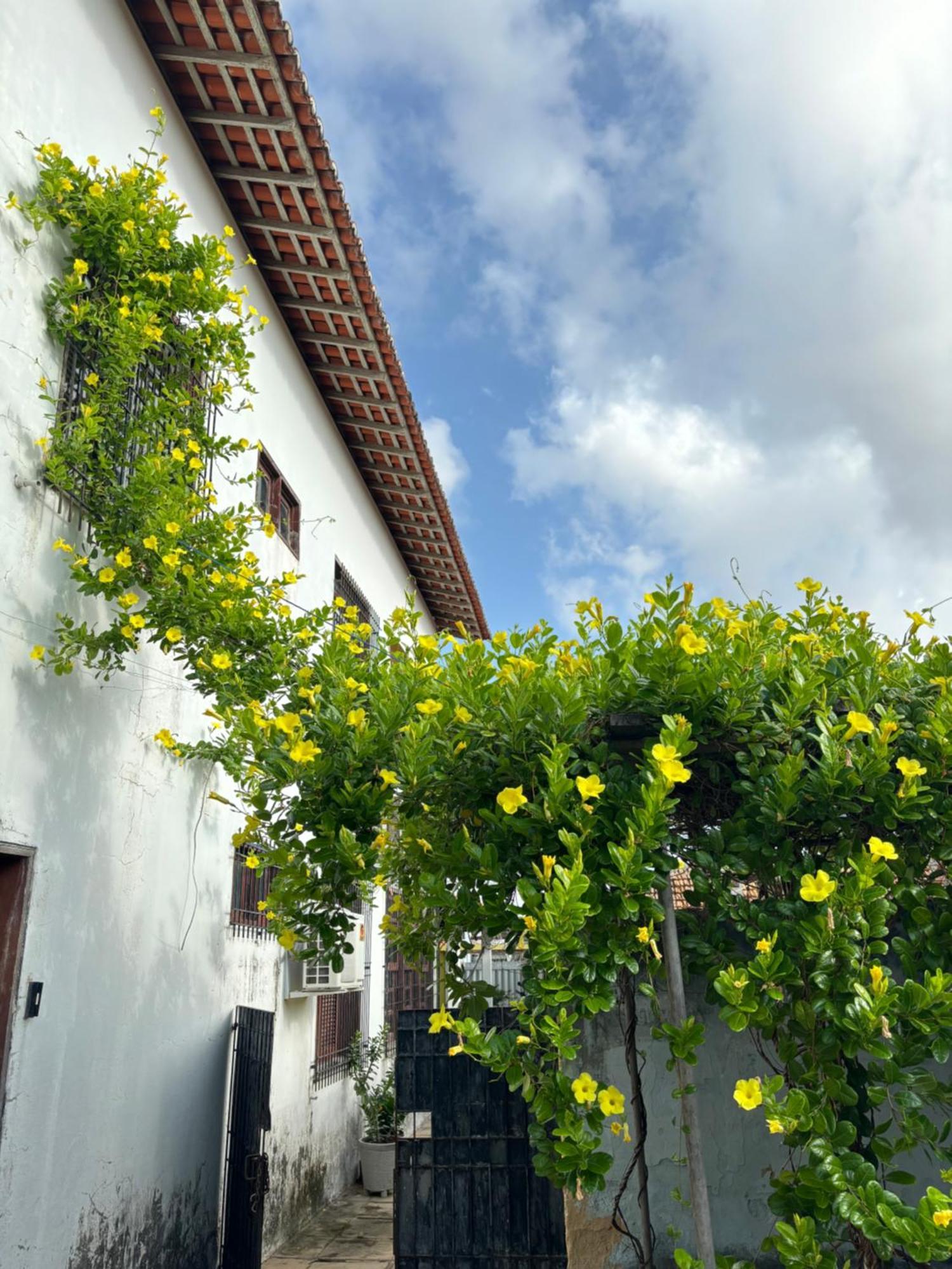 Parnaíba Hostel Exteriér fotografie